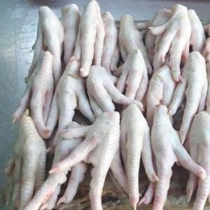 Wholesale 13kg: Frozen Chicken Feet & Frozen Chicken  Paw