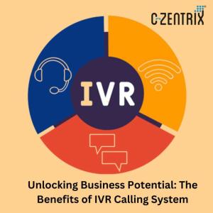 Wholesale Computer & Information Technology Services: IVR Calling System