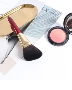 Wholesale cosmetic brush: Cosmetic Make Up Brush