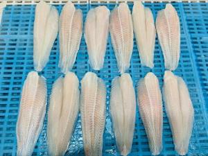 Wholesale Fish: Frozen Pangasius Fillet