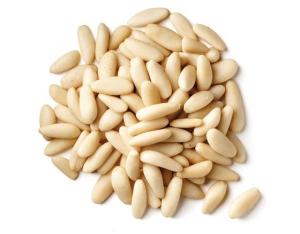 Wholesale pine nut kernels: Pine Nut Kernels