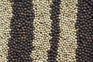 Wholesale single herbs: Black Pepper