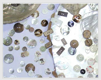 Shell Button