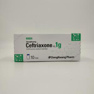 Wholesale antibiotics: Ceftriaxone Inj