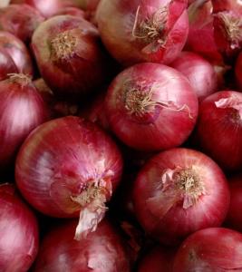 Wholesale good quality onion: Red Onion