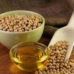 Wholesale oil vegetables: Soya Bean Salad Oil (Pure Soybean Refined Oil) for Sale
