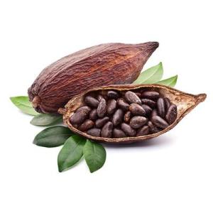 Wholesale Chocolate Ingredients: Obang Ventures Organic Beans