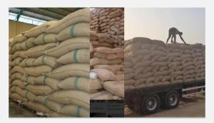 Wholesale Fresh Food: Cocoa, Charcoal, Cashew, Oil & Gas, Gold Stone, Energy