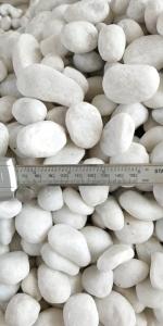 Wholesale pebble: White Pebble Stone for Landscaping and Paving