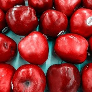 Wholesale fruit cold storage: Fresh Apple Top Red Delicious / Fresh Apple for Sale