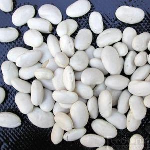 Wholesale pp white bags: White Beans, White Kidney Beans, New Crop White Beans