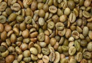 Wholesale arabica: Washed Arabica Green Coffee Beans Grade / Unwashed Arabica Green Coffee Beans Grade