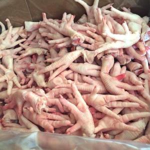 Wholesale slaughter: Frozen Chicken Feet