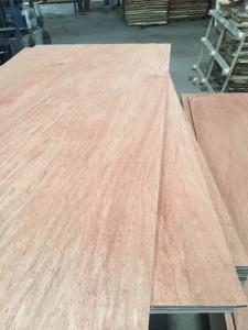 Wholesale plywood prices: Plywood AB Grade, Face Bintango/ Back Styrax with the Best Price, Thickness From 8 To 45mm