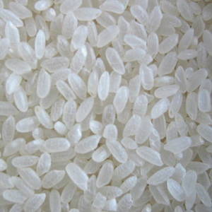 Wholesale most competitive price: Long Grain White Rice