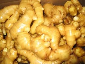 Wholesale fresh ginger: Ginger, Yellow Fresh Ginger From South Africa
