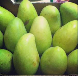 Wholesale Mango: Fresh Mangoes