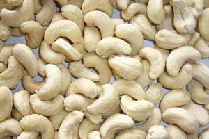 Wholesale cashew nut: Cashew Nuts