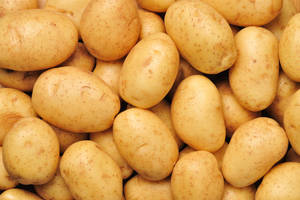 Wholesale fresh potatoes: Fresh Potatoes