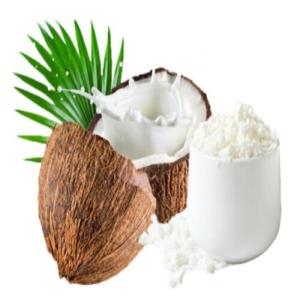 Wholesale gratings: Organic Coconut Milk Powder