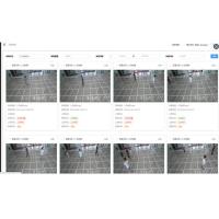 Edge AI Box with 16CH 1080P Video Input and 30+ AI Algorithm Functions 6