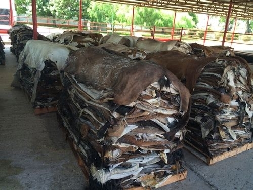 wet and dry salted cow hides for sale