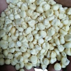 Wholesale corn grits: White/Yellow Corn (Maize) Animal Feed Grade