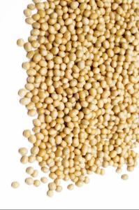 Wholesale cycle: Soya Beans Soy Bean Seeds and Soya Bean Seeds