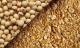 Soybean Meal 46% Export Quality
