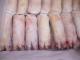 Frozen Pork Small Intestines Export Quality