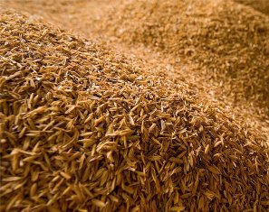 Bulk Wheat Husk Direct Supply.(id:9922178) Product details - View Bulk ...