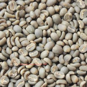 Wholesale high level coffee roaster: Sumatra Arabica Green Beans Coffee