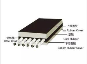 Wholesale Rubber Chemicals: Steel Cord Conveyor Belt