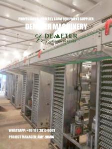 Wholesale automatic chicken layer cage: H Type Automatic Layer Battery Chicken Cage for Poultry Farm Equipment