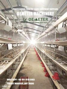 Wholesale grow bulbs: Broiler Chicken Cage for Poultry Farm From China Factory with Good Quality Demeter Machinery