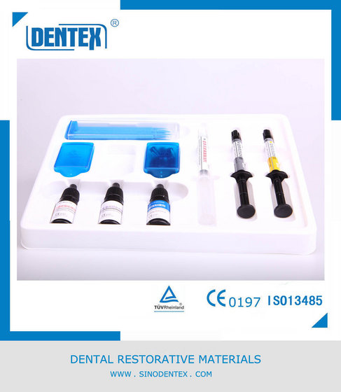 Dentex Dental Porcelain Repair Kit with Etch Silane Bond Resin and ...