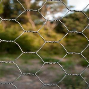 Wholesale Steel Wire Mesh: Deze Metal Fence
