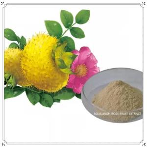 Wholesale central nervous system: Roxburgh Rose Fruit Extract