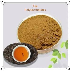 Wholesale Plant Extract: Tea Theabrownins TEA POLYSACCHARIDES