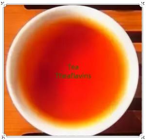 Wholesale theaflavin: Tea Theaflavins