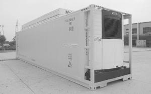Wholesale portable refrigerator: Reefer Container