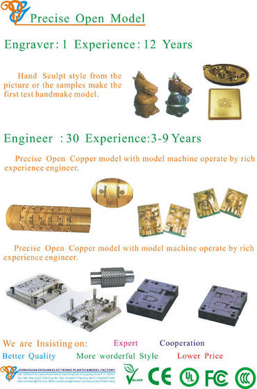 Open Inject Plastic Model