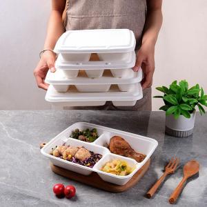 Wholesale outdoor lunch container: Biodegradable Disposable Containers