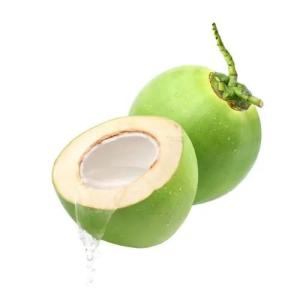 Wholesale food storage container: High Quality Fresh Agriculture Grade Green Coconuts Whole Husk Shell Sweet