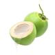 High Quality Fresh Agriculture Grade Green Coconuts Whole Husk Shell Sweet