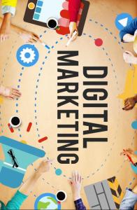 Wholesale market: Digital Marketing Company Melbourne - Zib Digital