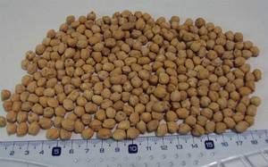 Wholesale max: Chickpeas and Green Peas