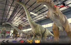 Wholesale lantern factory: Factory Direct Supply Big Size Animatronic Dinosaur Simulation Model