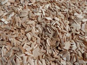 Wholesale canned: Wood Chips