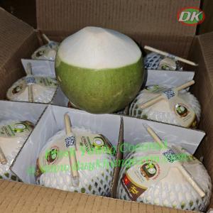Wholesale cashew husk: Fresh Young Old Coconut_Extremely Sweet @DK EXIM (Whatsapp +84 906 911 567)